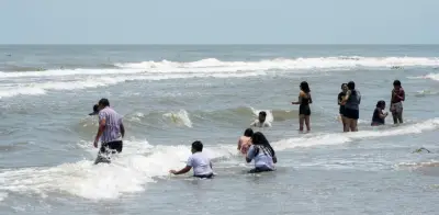 Cofepris alerta: 5 playas en México superan nivel de bacterias fecales