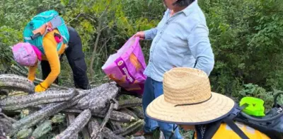 Denuncian ecocidio en Guanajuato: talan árboles de garambullo de hasta 500 años