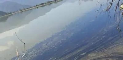 Derrame de diésel en laguna de Hidalgo tras volcadura de tráiler