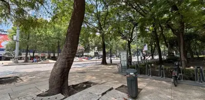 Desaparece 80% de botes de basura en corredores de CDMX; alertan por inundaciones