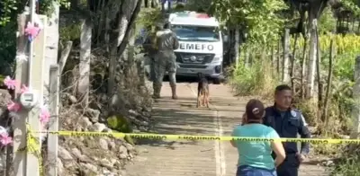 Fin de semana en México reporta 133 homicidios dolosos; Sinaloa lidera