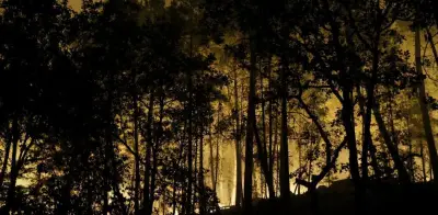 Incendio en bosque de Fontainebleau arrasa más de 1.300 hectáreas en 24 horas