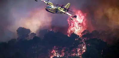 Incendios forestales en España y Francia: miles de evacuados y miles de hectáreas quemadas