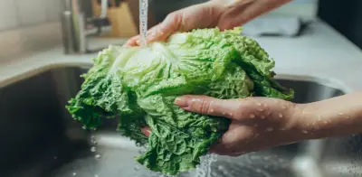 Lechuga mexicana vinculada a brote de ciclosporiasis en EE.UU., según FDA