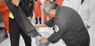 Liberan 2.5 millones de moscas estériles del gusano barrenador en Chihuahua