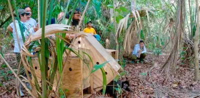 Liberan cinco monos araña rescatados del tráfico ilegal en reserva de Chiapas