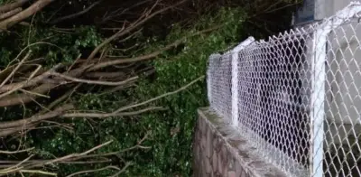 Lluvia torrencial en Jalisco provoca inundaciones y caos vial