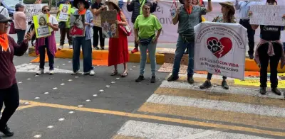 Manifestaciones en CDMX: 11 protestas y 17 eventos masivos el 30 de julio