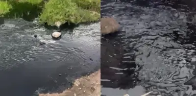 Nuevo derrame de combustóleo en Pachuca activa operativo de emergencia