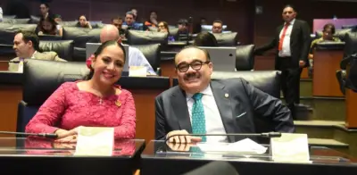 Operativo ambiental en 25 estados: aseguran madera y flora protegida
