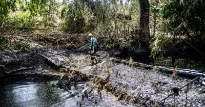 Pescadores indígenas de Pajapan presentan amparo contra Pemex por derrame