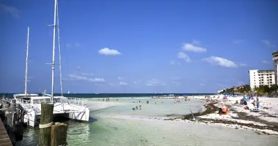 Playas MX: la app de Semarnat para saber dónde nadar estas vacaciones