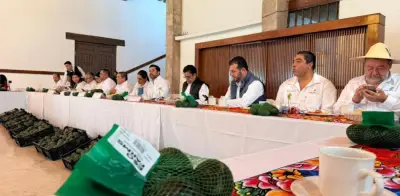 Productores de aguacate denuncian boicot de empresas estadounidenses