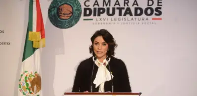 Reforma PVEM contra violencia de género cobra vigencia tras caso Tijuana