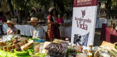 Sembrando Vida: pago de 6,450 pesos hoy 9 de julio; requisitos