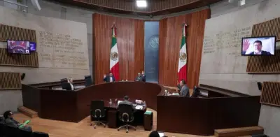 TEPJF deja firme reforma de Morena para afiliar militantes vía app