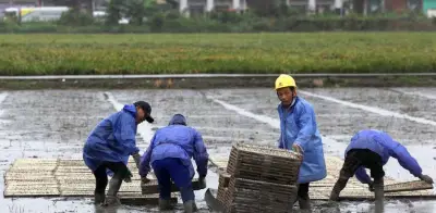 Tifón Bavi golpea Asia: China evacúa a casi 2 millones de personas