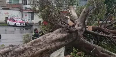 Tormenta azota suroriente de CDMX: inundaciones y árboles caídos en Tlalpan, Xochimilco, Iztapalapa y Tláhuac