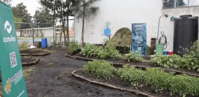UAM y Conalep instalan captadores de lluvia en 10 planteles de CDMX