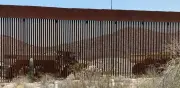 Aceleran construcción del muro inteligente de Trump en frontera con México