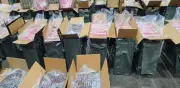 Aduana del AICM decomisa 156 toneladas de cigarros ilegales y 400 kilos de droga