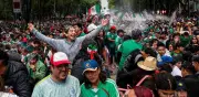Aficionados mexicanos cuelgan piñata en semáforo de Reforma antes del México vs Ecuador