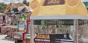 Aseguran 2 mil 700 tragamonedas en operativo Dos de Bastos en Edomex