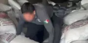 Aseguran más de tres toneladas de metanfetamina en Sonora; hay un detenido