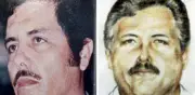 Caída de El Mayo: violencia y economía en Sinaloa, un lustro perdido