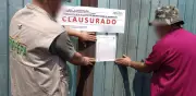 Clausuran carbonera en Metepec por operar sin autorización de Semarnat
