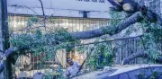 Clima México 29 jul: Lluvias intensas y calor extremo de 45°C
