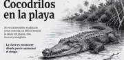 Cocodrilos en playas mexicanas: cómo prevenir riesgos en temporada de lluvias