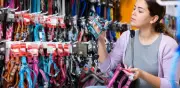 Collar o pechera para perro: cómo elegir el mejor sin lastimarlo
