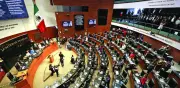 Congreso mexicano incumple fallo de SCJN: 5 años sin regular cannabis