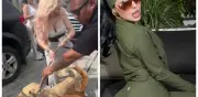 Crece controversia entre Sol León y Patitas Firmes por perros rescatados