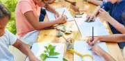 Cursos de verano 2026 en CDMX para niños: arte, ciencia y más