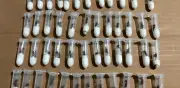 Decomisan 105 hormigas cosechadoras en juguetes; iban a Asia