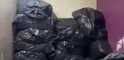 Decomisan media tonelada de mariguana en GAM; golpe a 'dealers'