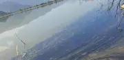 Derrame de diésel en laguna de Hidalgo tras volcadura de tráiler