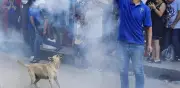 Despiden a Cuetes, perro comunitario que sobrevivió al cáncer y fue atropellado en Yajalón, Chiapas
