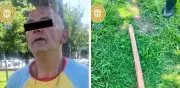 Detienen a hombre que asesinó a palazos a cachorra de 2 meses en CDMX