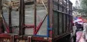 Detienen en Xochimilco a presunto talamontes con 110 tarimas de madera