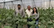 Earth-IoT: la startup mexicana que busca ser el Uber del campo con Don Asesor