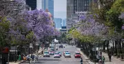Economía mexicana crece 1.5% en segundo trimestre por Mundial y sector primario