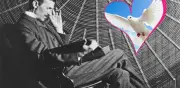 El extraño amor de Nikola Tesla: la historia de la paloma blanca