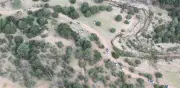 Emboscada a agentes en Guerrero, Chihuahua: un atacante muerto y decomiso de armas