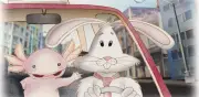Festival de cine infantil Ajolotín gratis en Edomex durante agosto