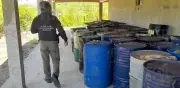 FGR asegura más de 25 mil kilos de precursores químicos en Durango