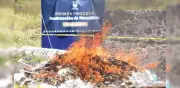 Fiscalía CDMX incinera 140 kg de drogas ligadas a 600 investigaciones