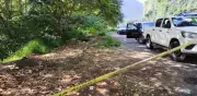 Hallan al menos cinco cadáveres embolsados en autopista de Veracruz